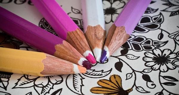 Image for event: Adult Coloring at Beech Grove