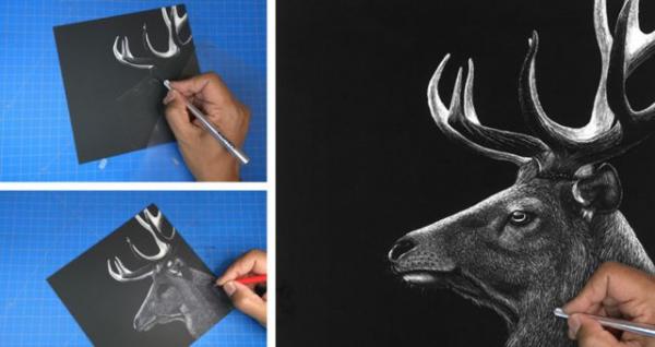Image for event: Intro to Scratchboard